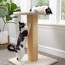 diy cat scratching post and cat tree