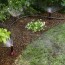 above ground irrigation systems for