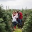 the best christmas tree farm in every