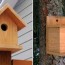 free easy diy wood birdhouse plans