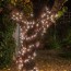 how to wrap trees with outdoor lights