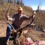 colorado self guided elk hunts over
