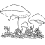 mushrooms coloring page free