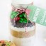cookie mix in a jar with free printable