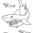 free printable shark coloring pages for