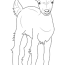 baby goat coloring page for kids free