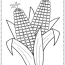 corn coloring pages printables corn