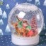 diy photo snow globe with picture my