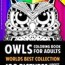 owl adult colouring page 1 owl stuff