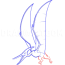 how to draw a pteranodon coloring page