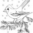tag bird coloring page print it free