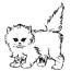 a cute pluffy kitty cat coloring page