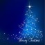 wish a merry christmas to family and
