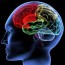 alcohol abuse may rewire brain live