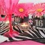 pink zebra birthday sweet 16 party