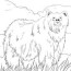 wild brown bear coloring page free