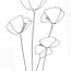 printable poppy flower coloring pages