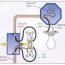 circuit diagram home house wiring
