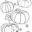 free blank pumpkin coloring pages