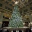 iconic christmas trees in the chicago loop