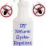 diy natural spider repellent 3 ways