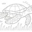 swimming turtle coloring page graphic