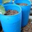 organic gardening homemade compost