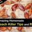 11 amazing homemade roach killer tips