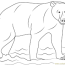 kamchatka brown bear coloring page for