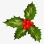christmas decoration with holly leave