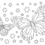 butterfly coloring pages drawings