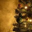 graham s christmas tree 11 free stock