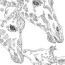 giraffe coloring pages and many more