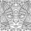 cats coloring pages for adults