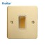 golden electrical light switch