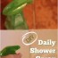 diy daily shower cleaner the prairie