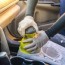 diy car upholstery cleaner recipes for