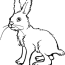 free rabbit coloring pages