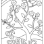 spring coloring pictures printable