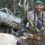 colorado archery elk hunting guided