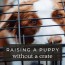 can you raise a puppy without a crate