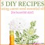 5 diy carrot seed essential oil recipes
