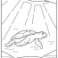 sea turtle coloring pages updated 2022