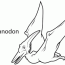 pterodactyl coloring page coloring home