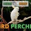 bird perches wooden corner heated
