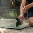 how to clean plexiglass fish tanks