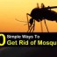how to keep mosquitoes away 20 simple
