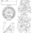 mississippi state symbols coloring page