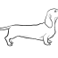 a dachshund dog coloring page free