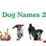 top 100 most popular dog names in 2021